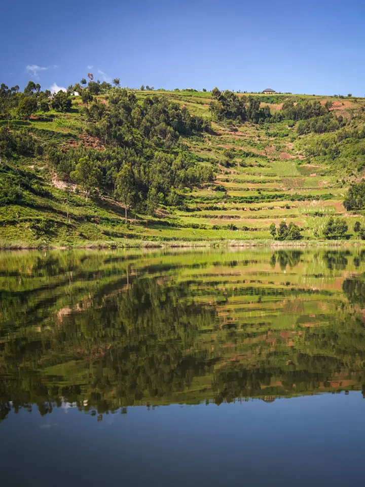 Terraced hillside above Lake Bunyonyi mirrored in the still water below